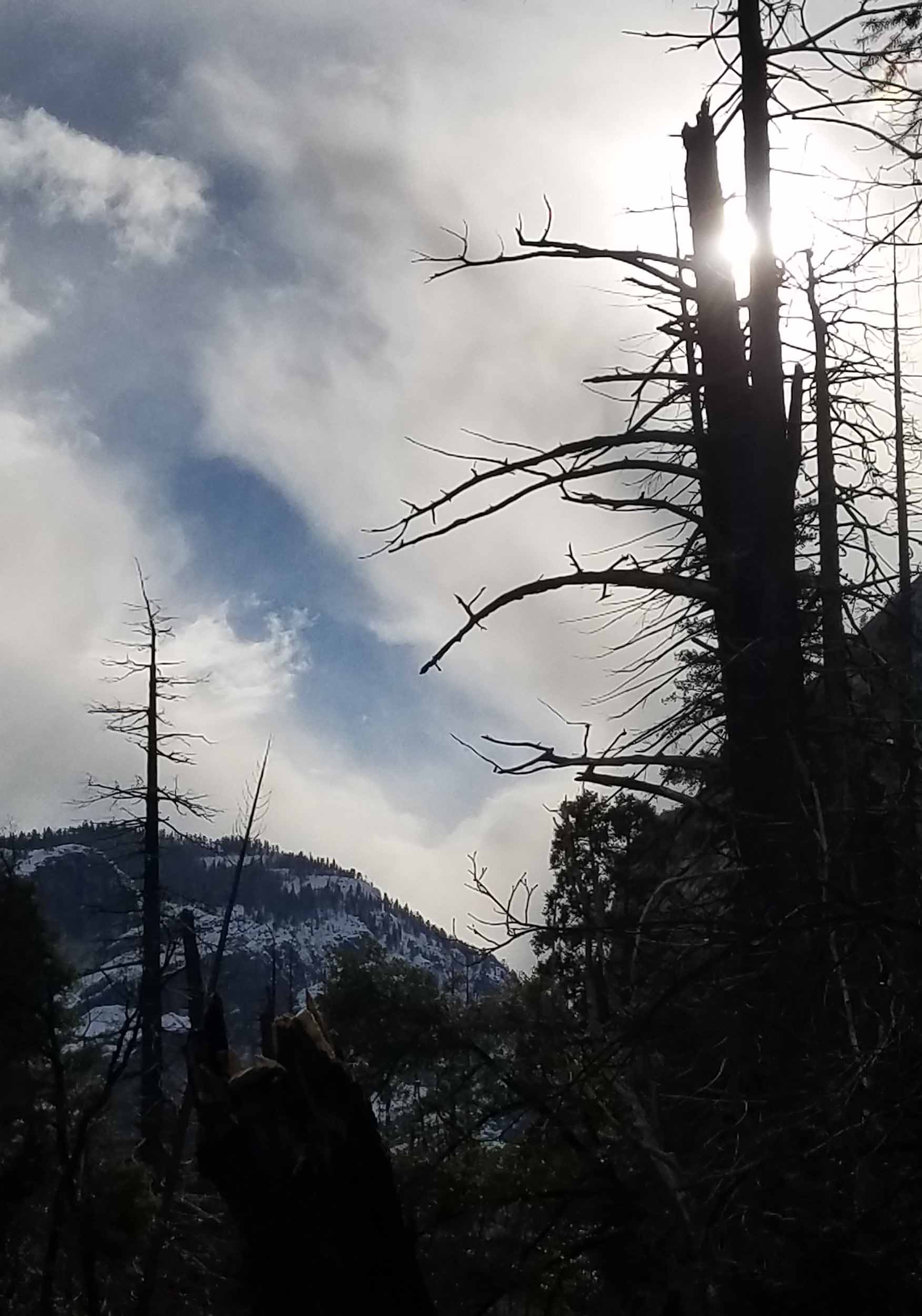 Street Diary Ornamentation